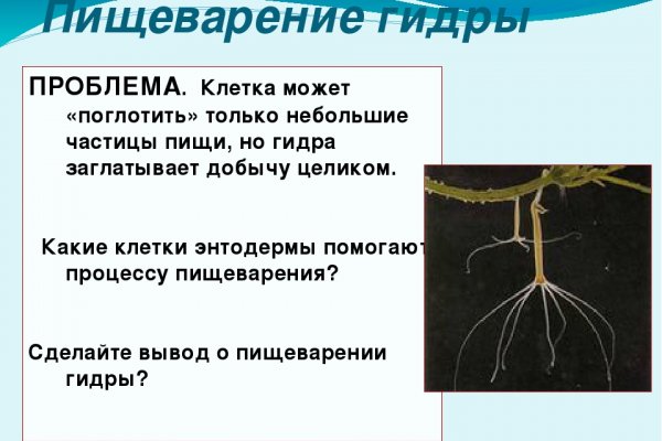 Кракен зон