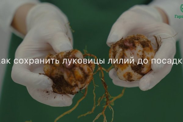 Зайти на кракен